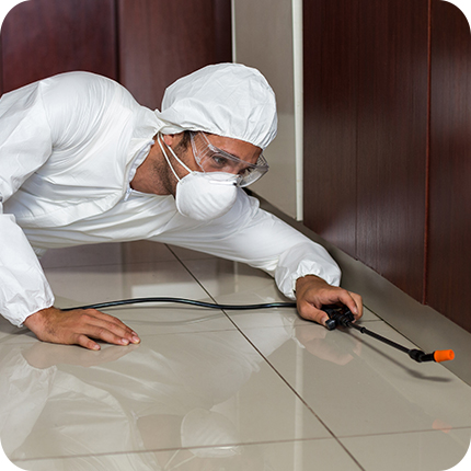 Pest Control, best pest control, organic pest control, near me pest control, home pest control, pest control near me, Exterminators Pest Control near me